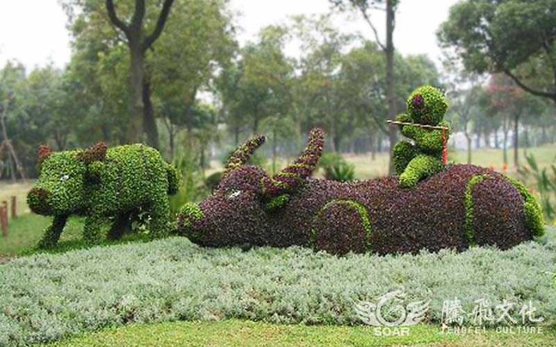 植物綠雕制作時間植物選擇及維護事項